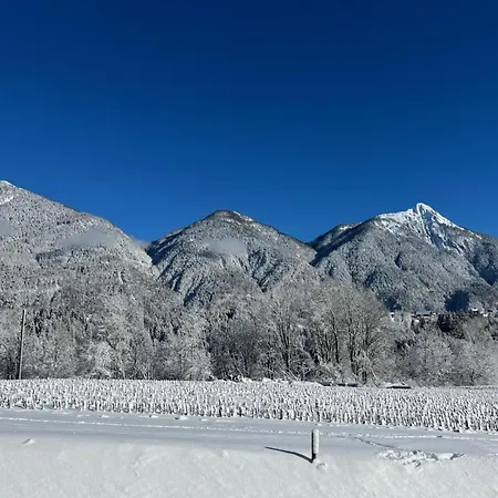 Ferienhaus Obermoeschach 7a